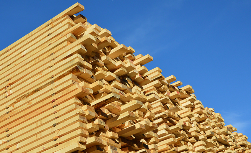 filiere forêt bois pays d'arles