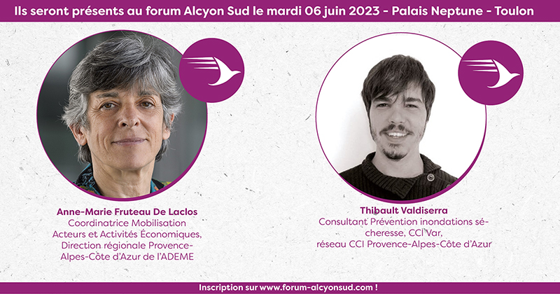 atelier Ademe CCI climat Alcyon Sud