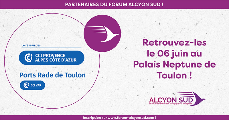 reseau CCI alcyon