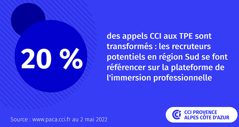immersion professionnelle 