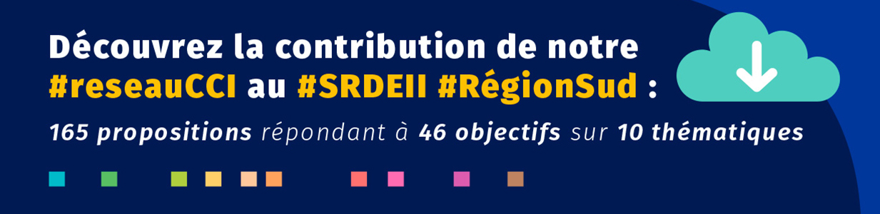 Contribution réseau CCI au SRDEII