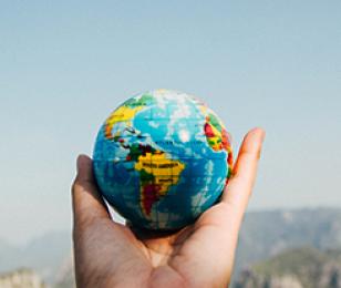 L'équipe opérationnelle Team France Export Sud, à savoir CCI International Provence-Alpes-Côte d'Azur et Business France, proposent aux entreprises des programmes d’accélération de leur prospection à l'étranger, adaptés au pays ciblé et à leur maturité. 4 témoignages recueillis en aval de 3 missions financées par la Région Sud avec l'appui de risingSUD confirment l'expertise.