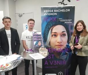 bachelor Kedge Avignon Vaucluse