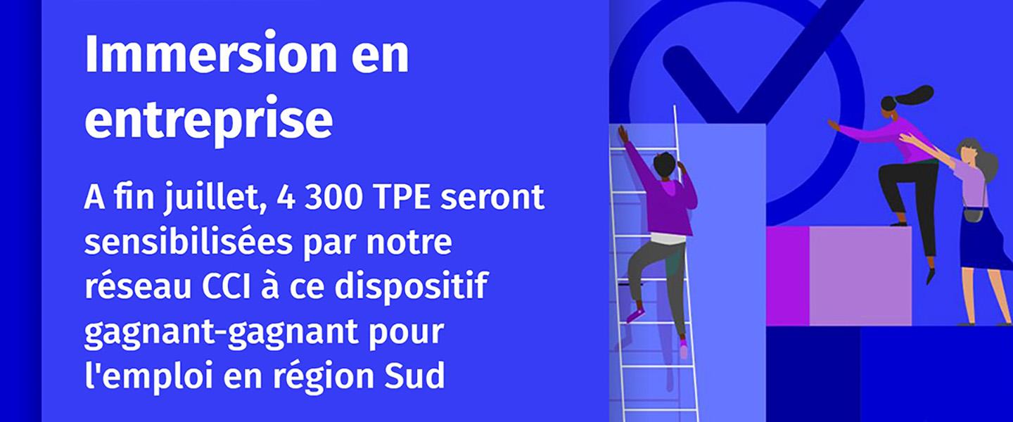 4300 TPE ciblées par les CCI Paca : Immersion Professionnelle