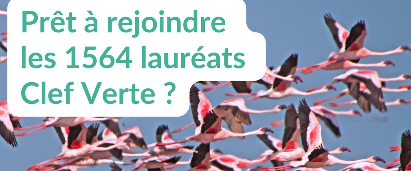 Rejoignez les lauréats Clef Verte en région Sud